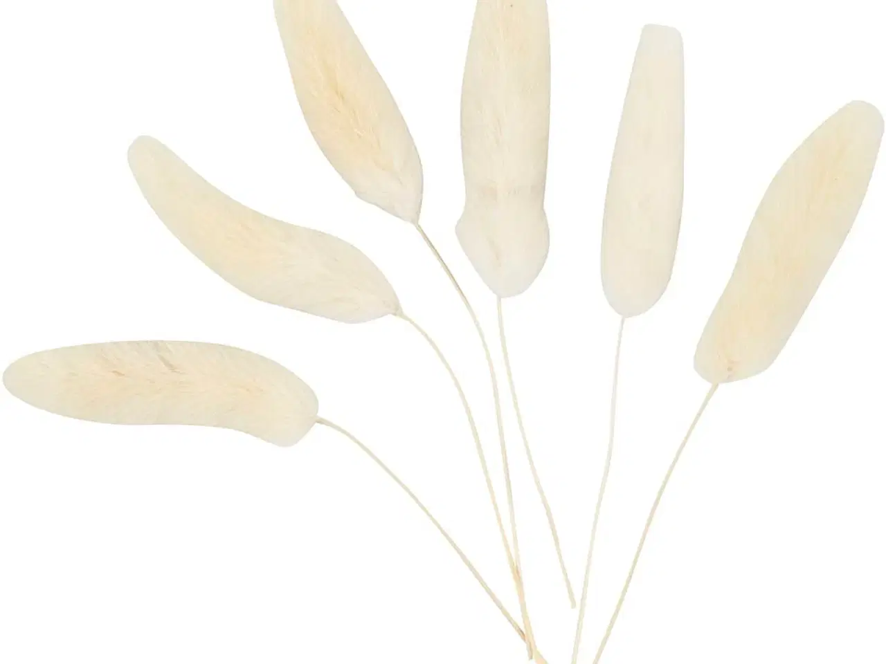 Billede 1 - Harehaler 3-7 cm - 6 stk. til smuk dekoration