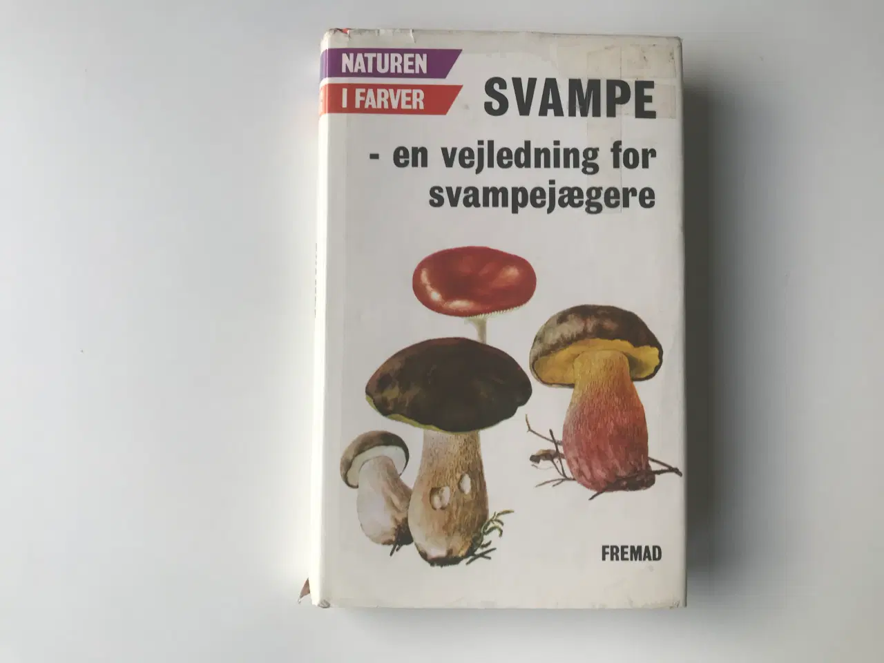 Billede 1 - SVAMPE - en vejledning for svampejægere