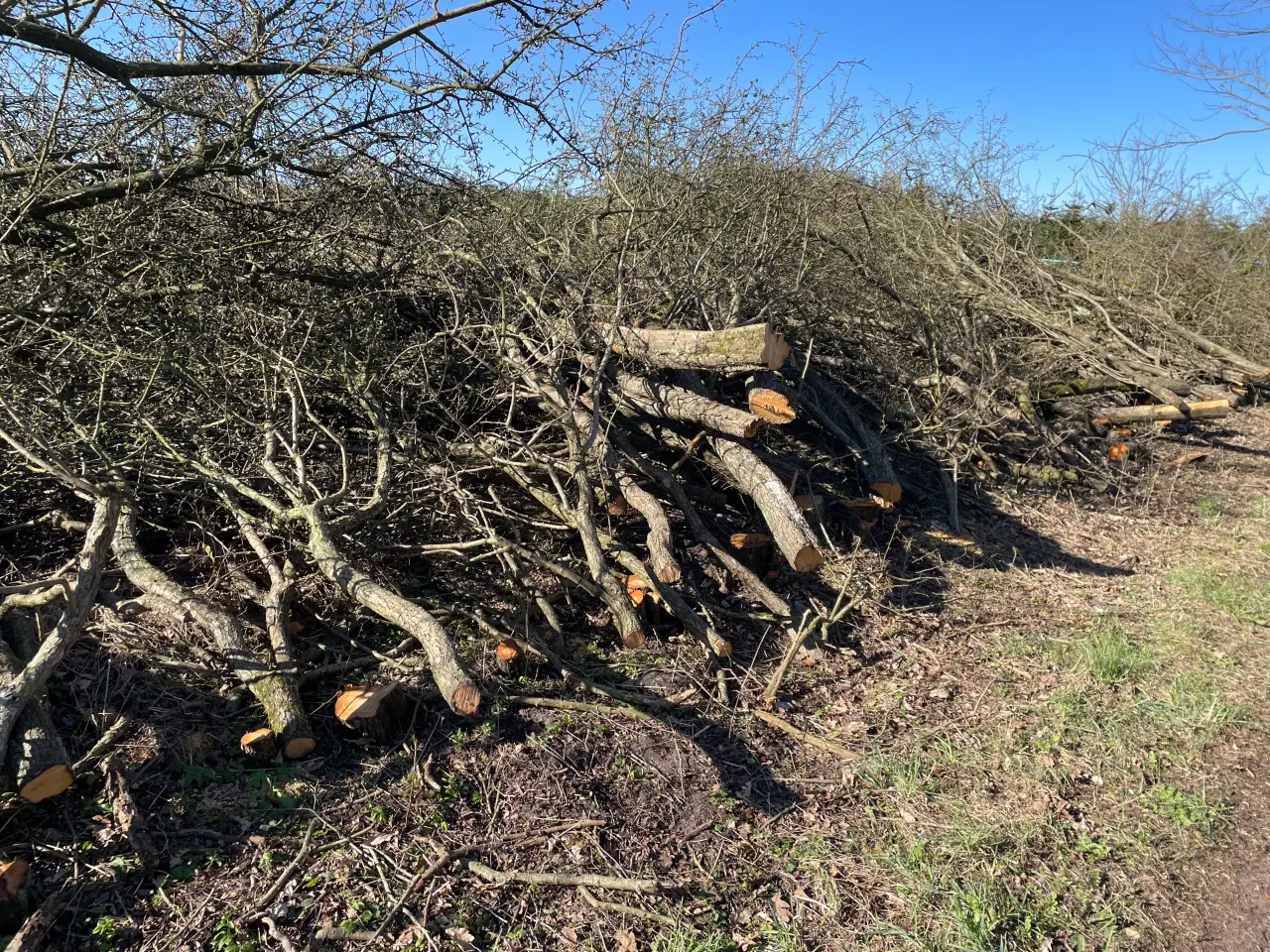 Billede 1 - Stoker flis tørt