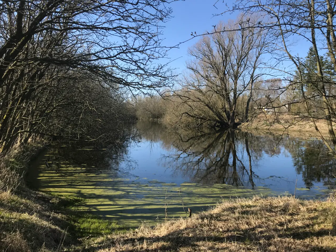 Billede 2 - Hus på landet udlejes