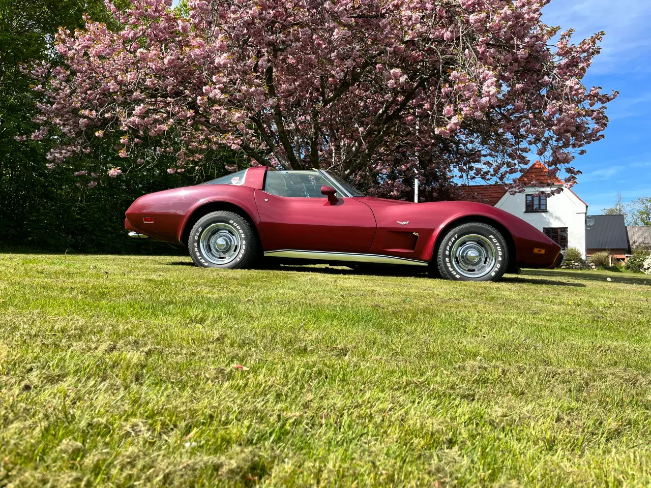 Billede 2 - Chervolet Corvette C3 Stingray 1978 5,7 V8 350  