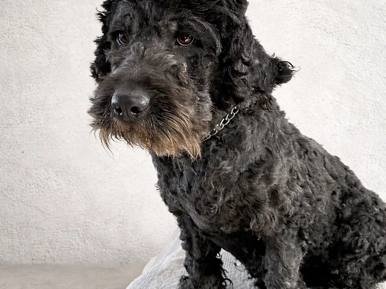 Billede 2 - Udstationering 