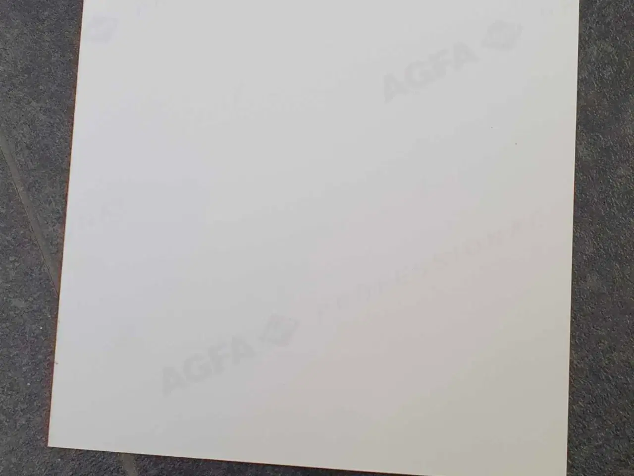 Billede 3 - Pyrus autograf 