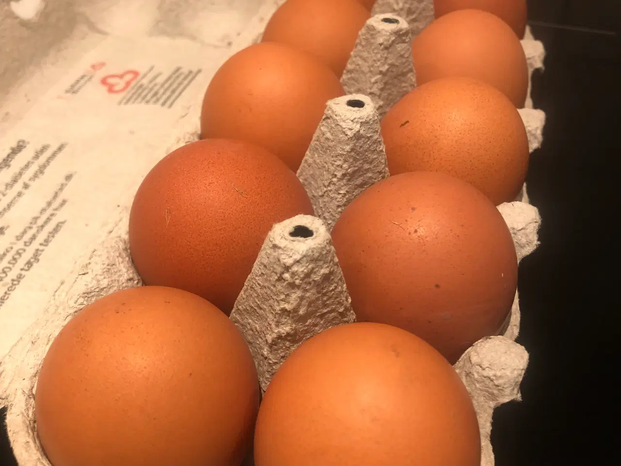 Billede 1 - Rugeæg æglæggere