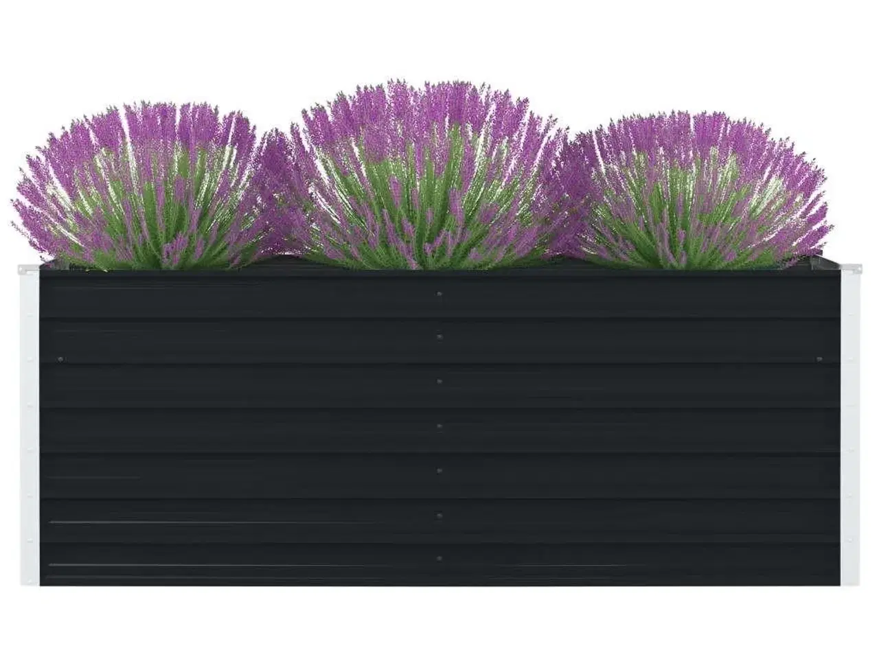 Billede 1 - Hævet blomsterbed 160 x 80 x 45 cm galvaniseret stål antracit