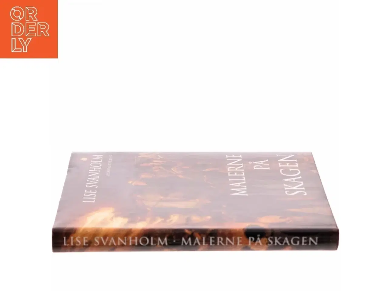 Billede 2 - Malerne på Skagen af Lise Svanholm (Bog)