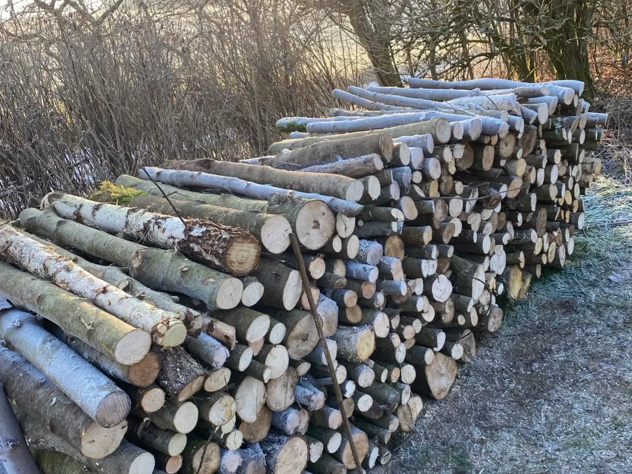 Billede 2 - Prima løvtræsbrænde i meterstykker