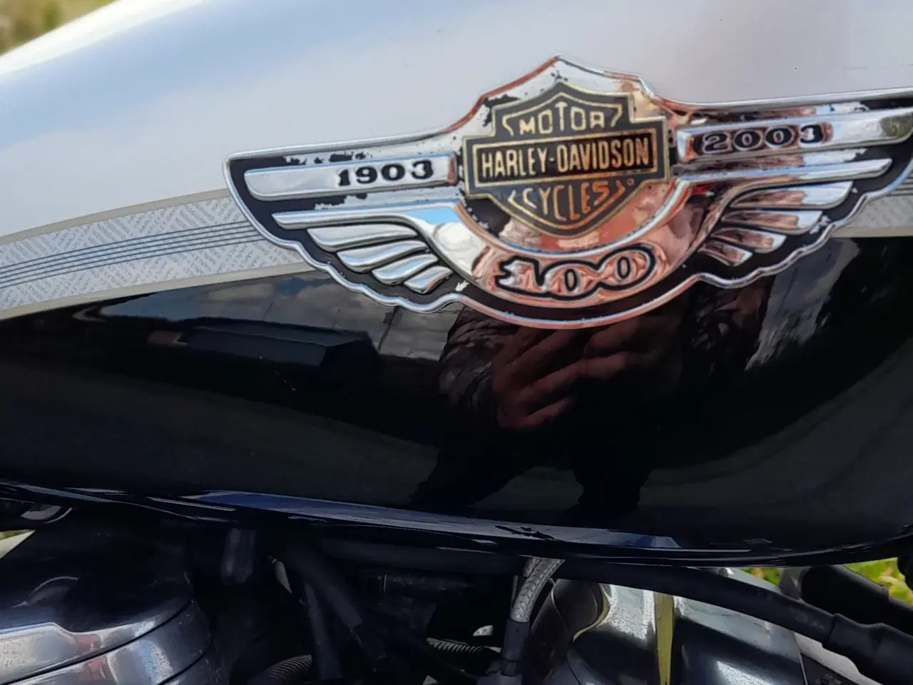 Billede 3 - Jubilæumsmodel custum XL1