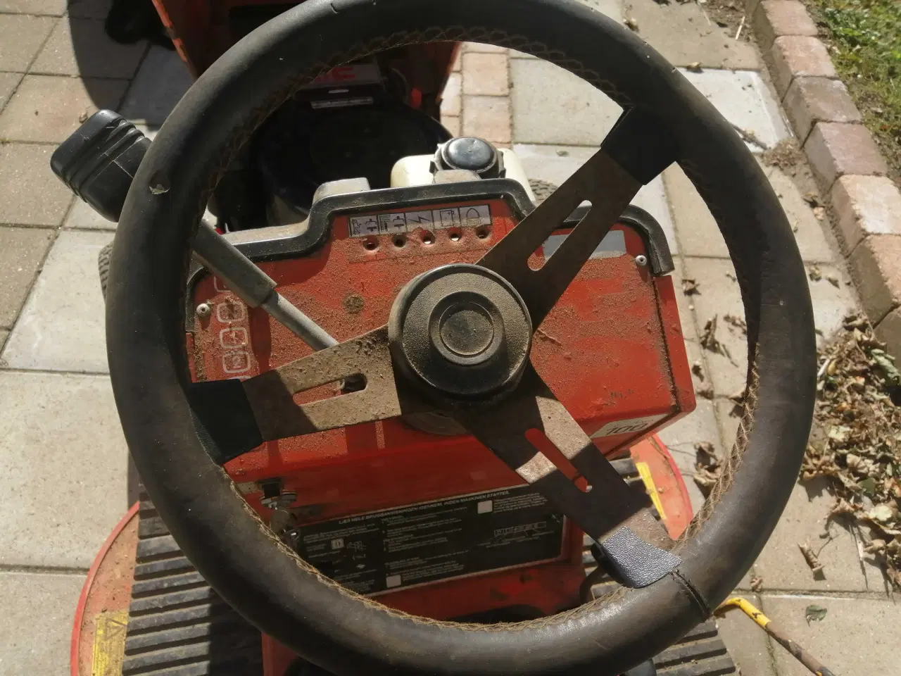 Billede 9 - Westwood Ginge. 