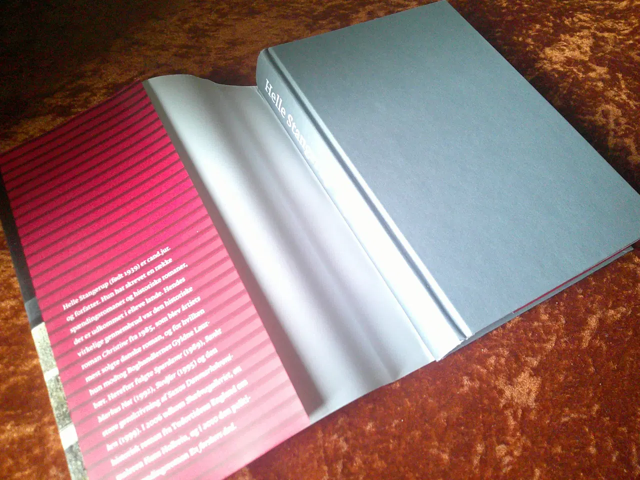 Billede 2 - Bag skodderne, Helle Stangerup