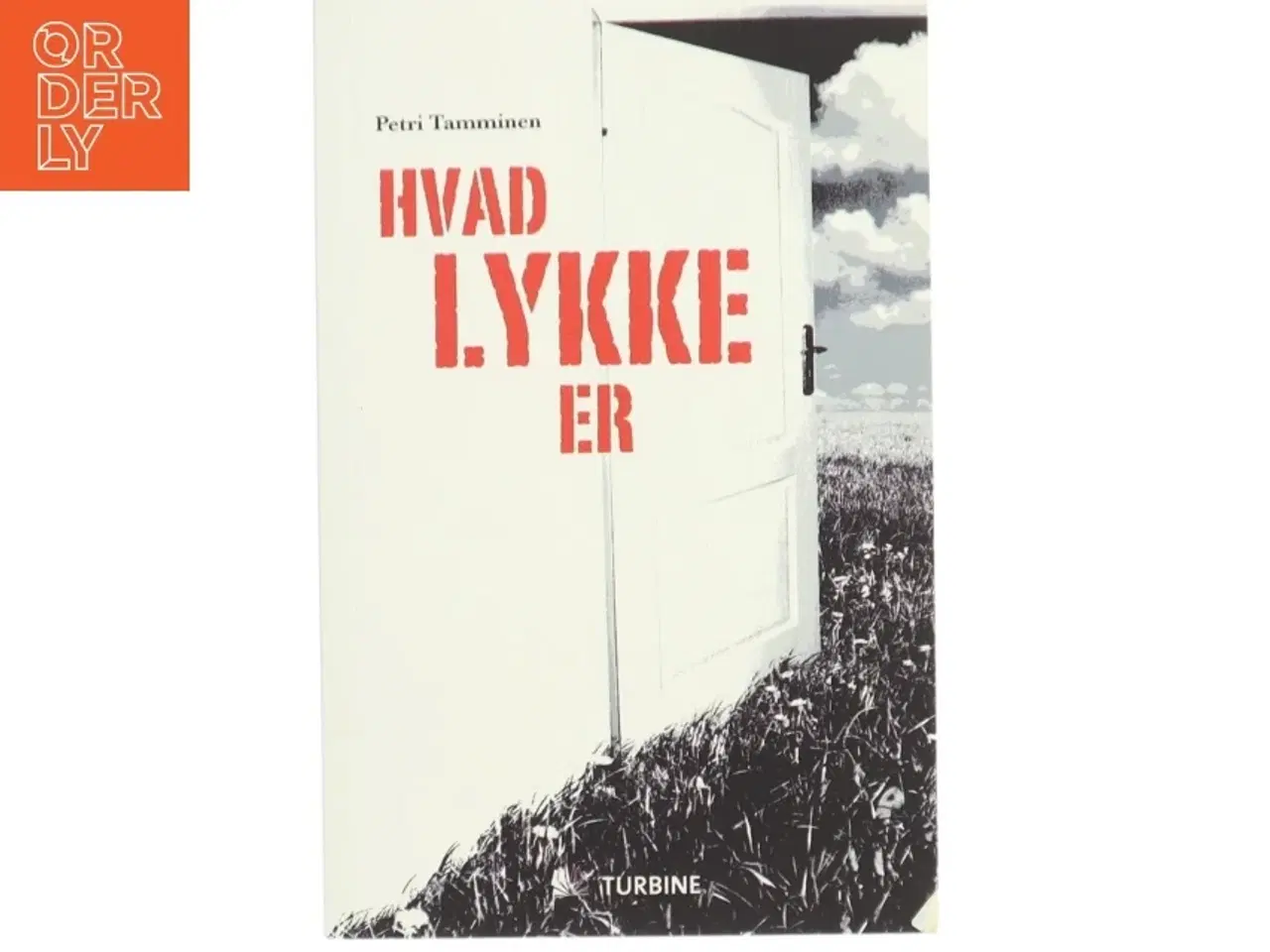 Billede 1 - Hvad lykke er af Petri Tamminen (Bog)