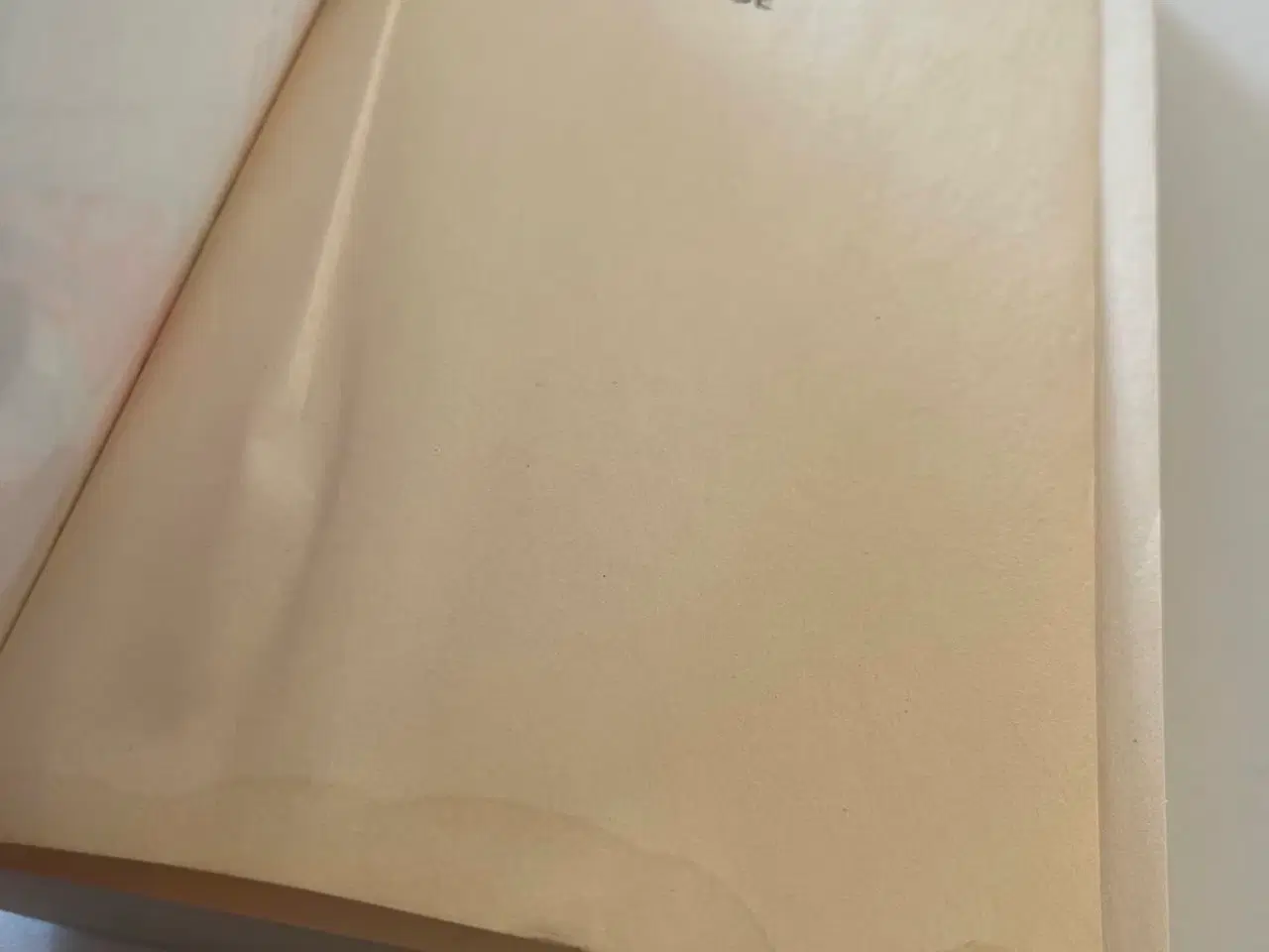 Billede 8 - Glasvinge af Katrine Engberg