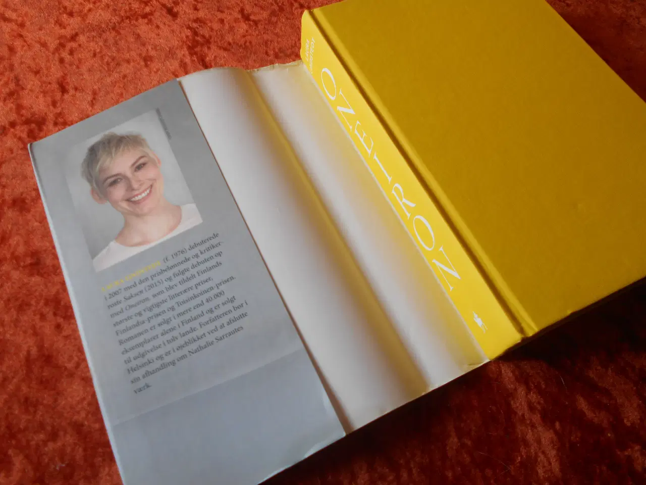 Billede 2 - Oneiron, Laura Lindstedt