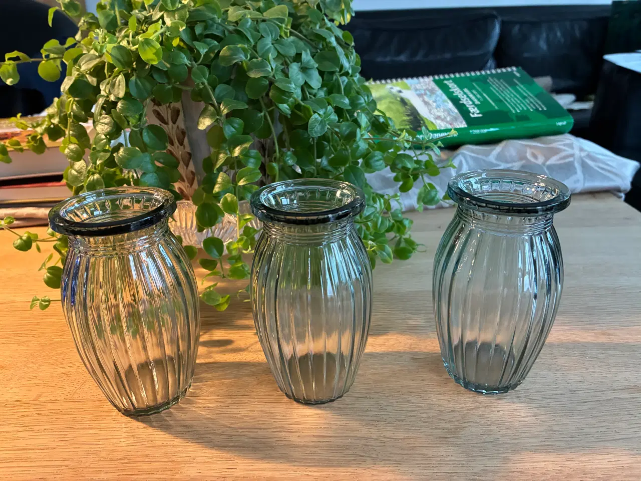 Billede 1 - Hospitalsvaser, 3 stk. , lille, fra Holmegaard