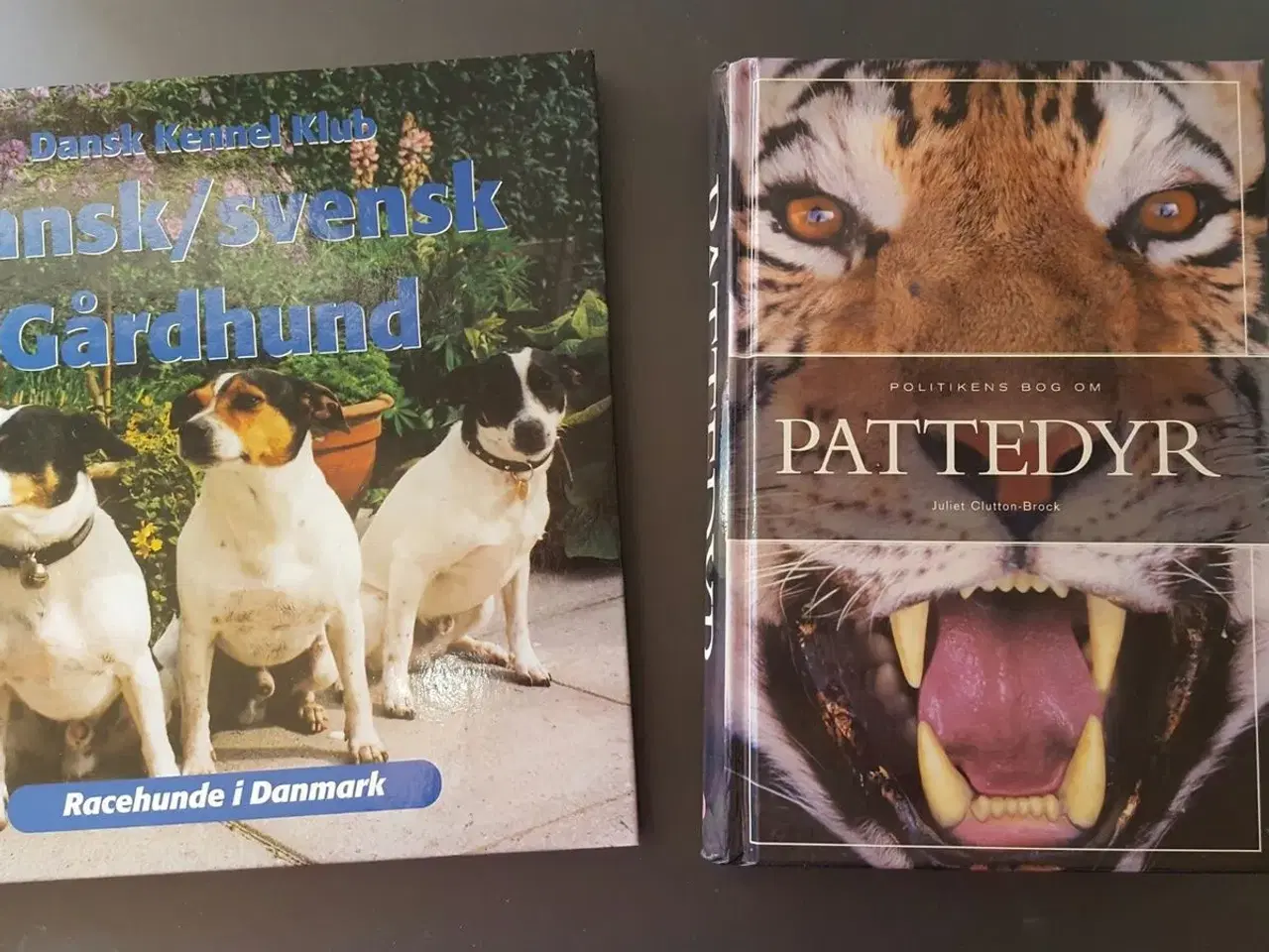 Billede 5 - Forskellige dyrebøger sælges