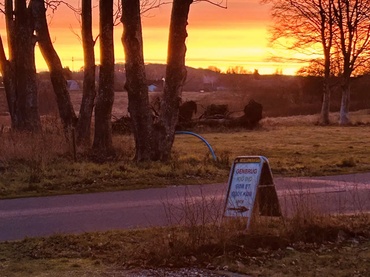 Billede 1 - Træ købes.båd som betaling