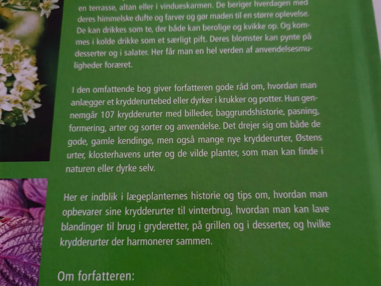 Billede 2 - Krydderurter af Anemette Olesen 