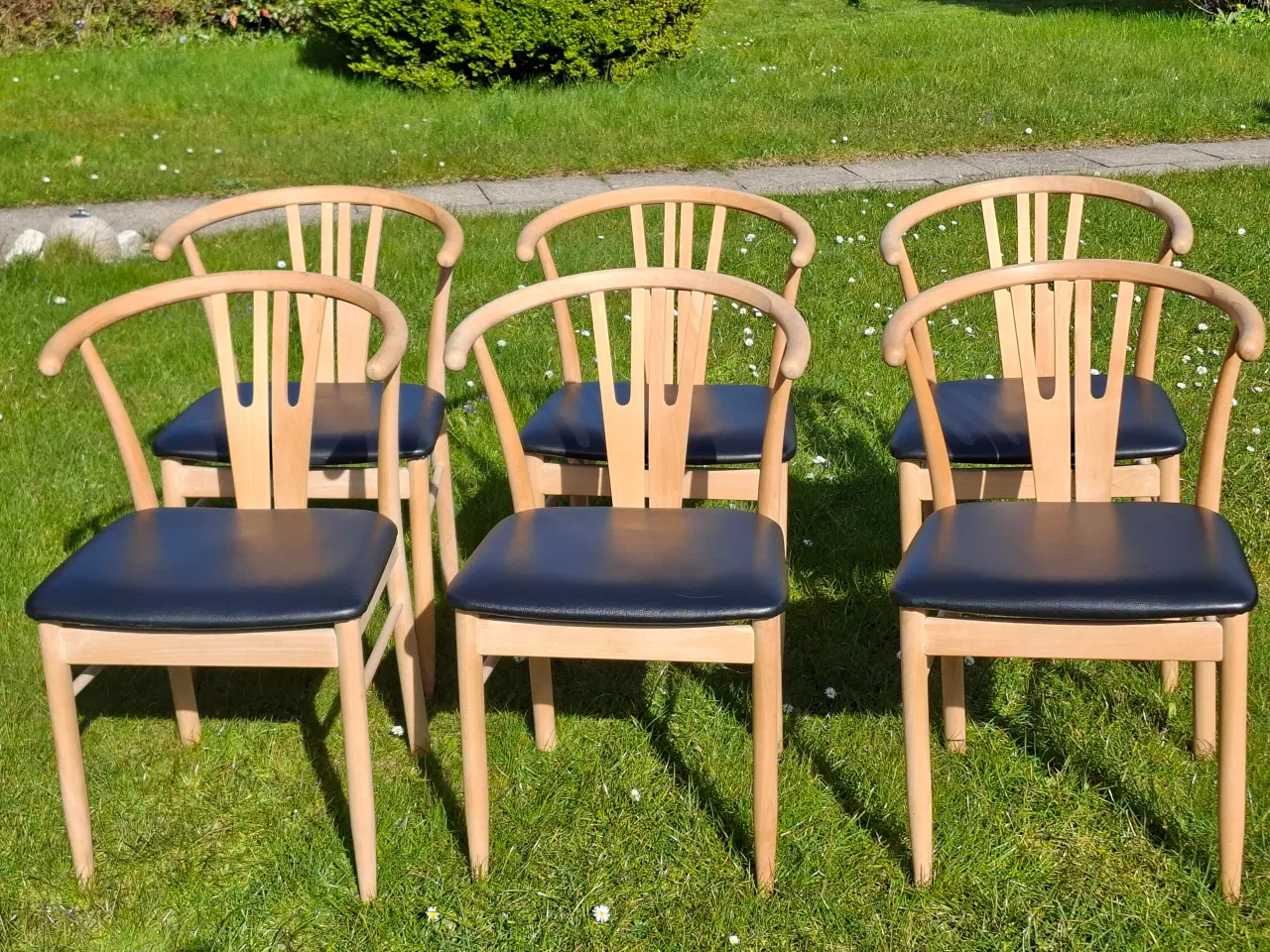 Billede 1 - 6 stk flotte "Vega" spisebordsstole 