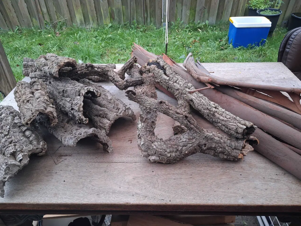 Billede 1 - Kork og Eucalyptus Bark.