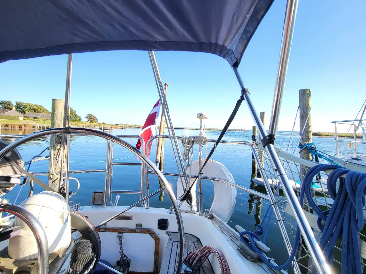 Billede 7 - Schamrock club raser 30