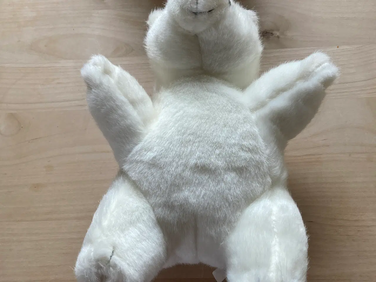 Billede 1 - Isbjørne krammedyr