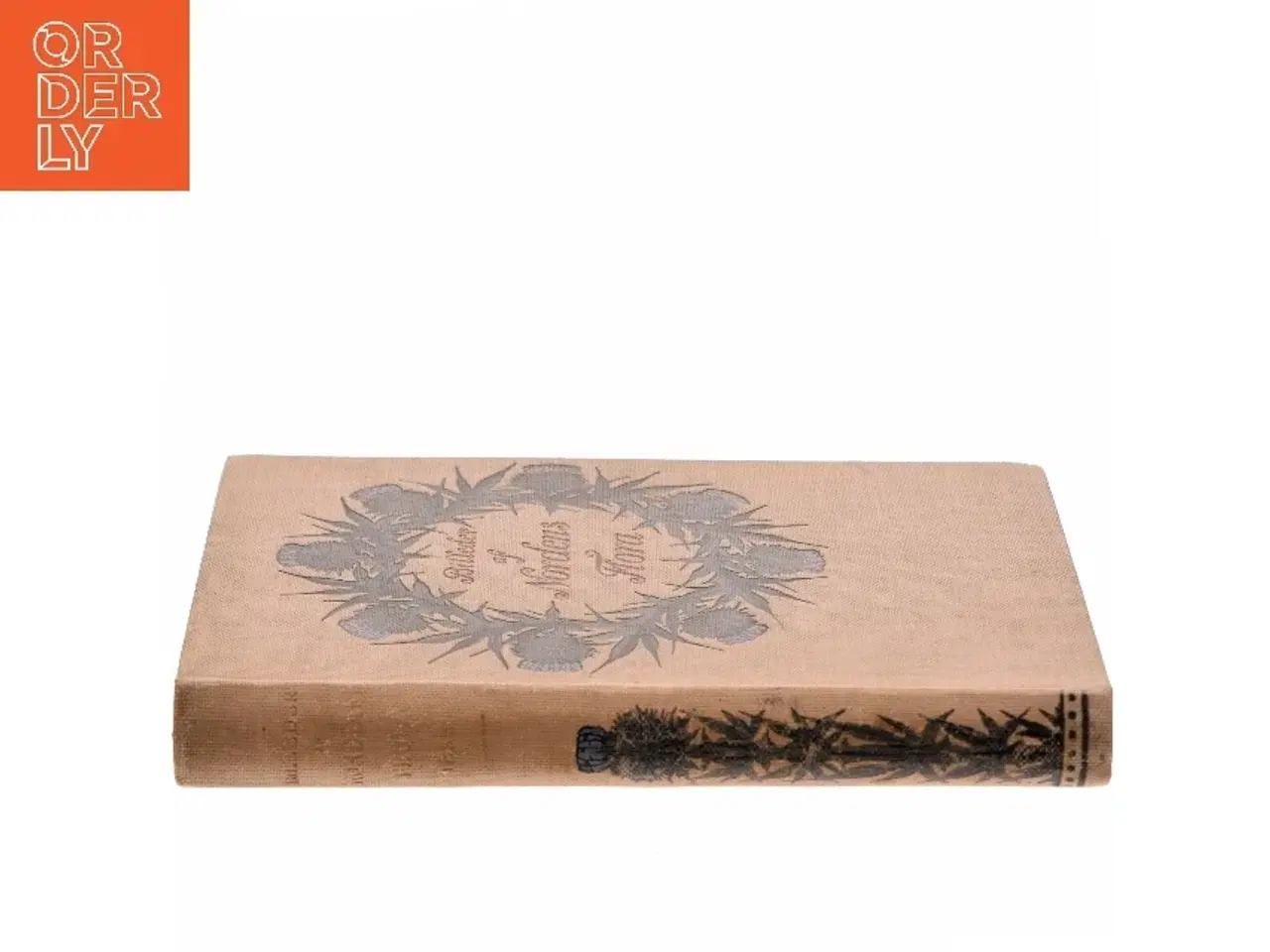 Billede 2 - Billeder af Nordens Flora af <Bogens forfattere< (Bog)