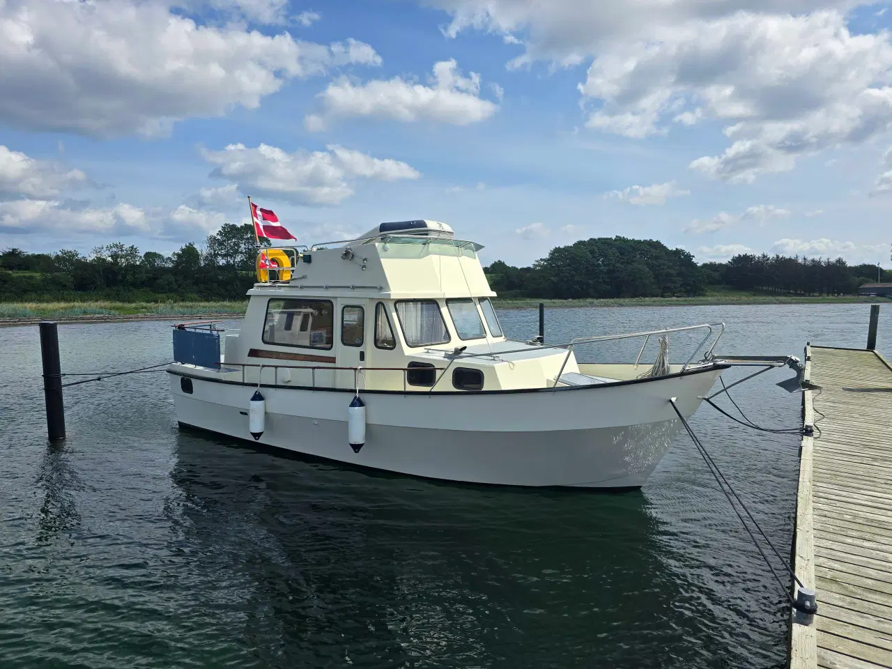 Billede 1 - Husky Dane 85