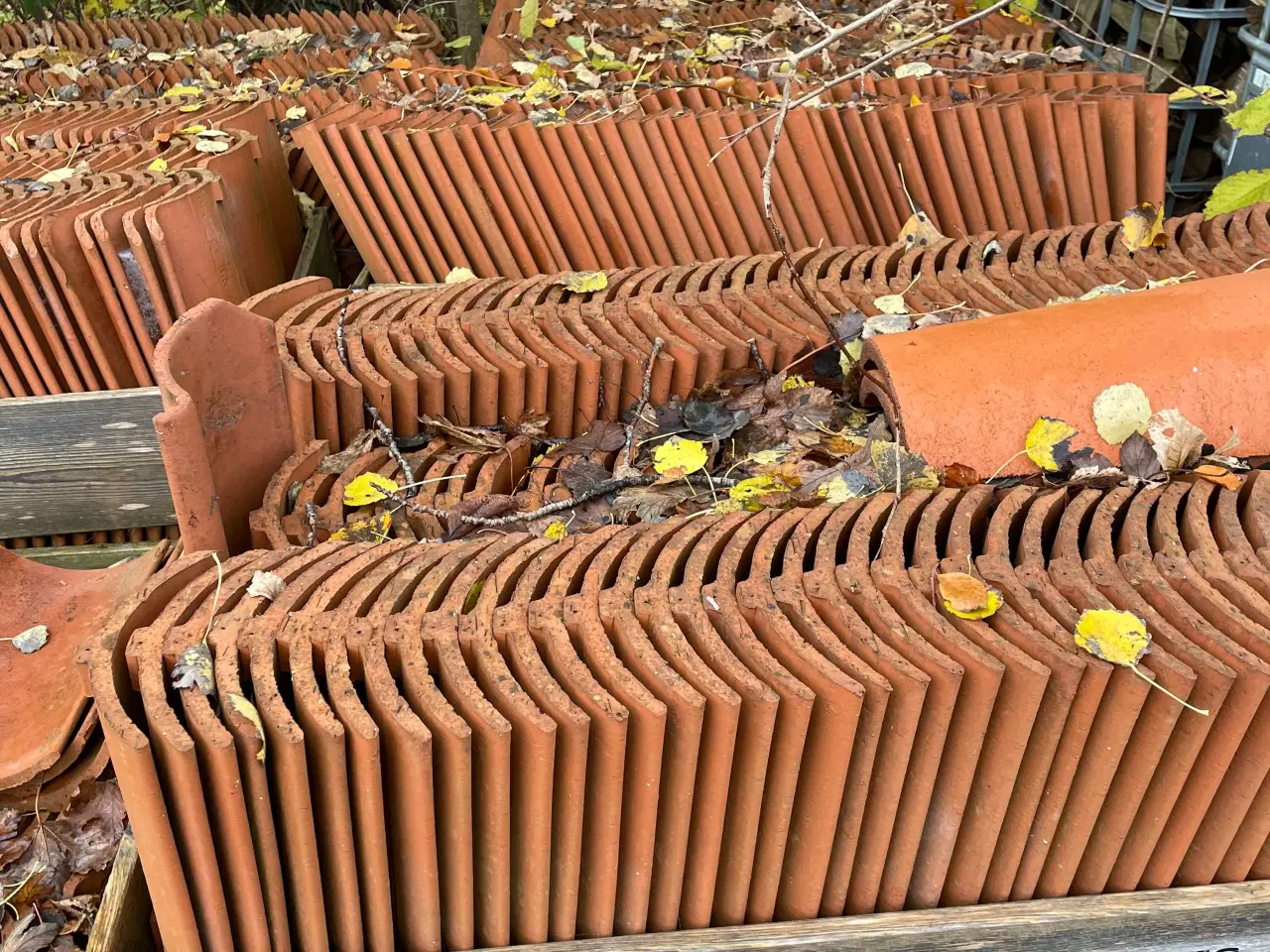 Billede 2 - Dansk vengetegl 