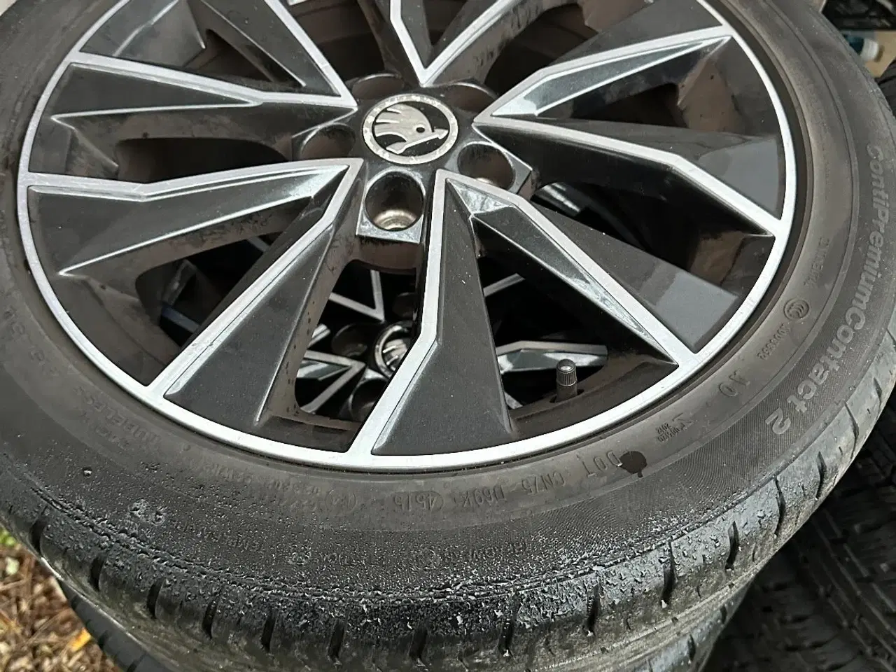 Billede 12 - Skoda Fabia 1,2 TSi 110 Ambition Combi