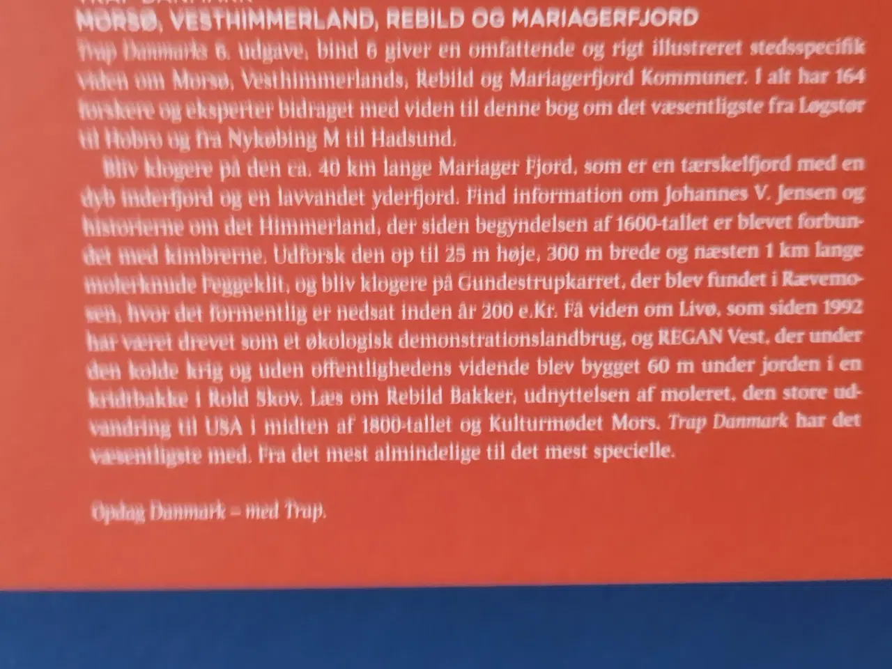 Billede 2 - Trap Danmark 