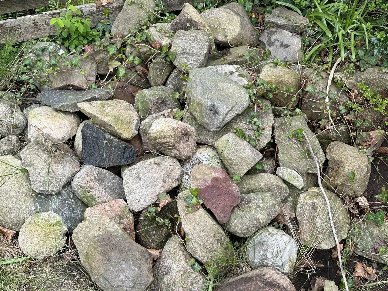 Billede 1 - Marksten kan hentes gratis