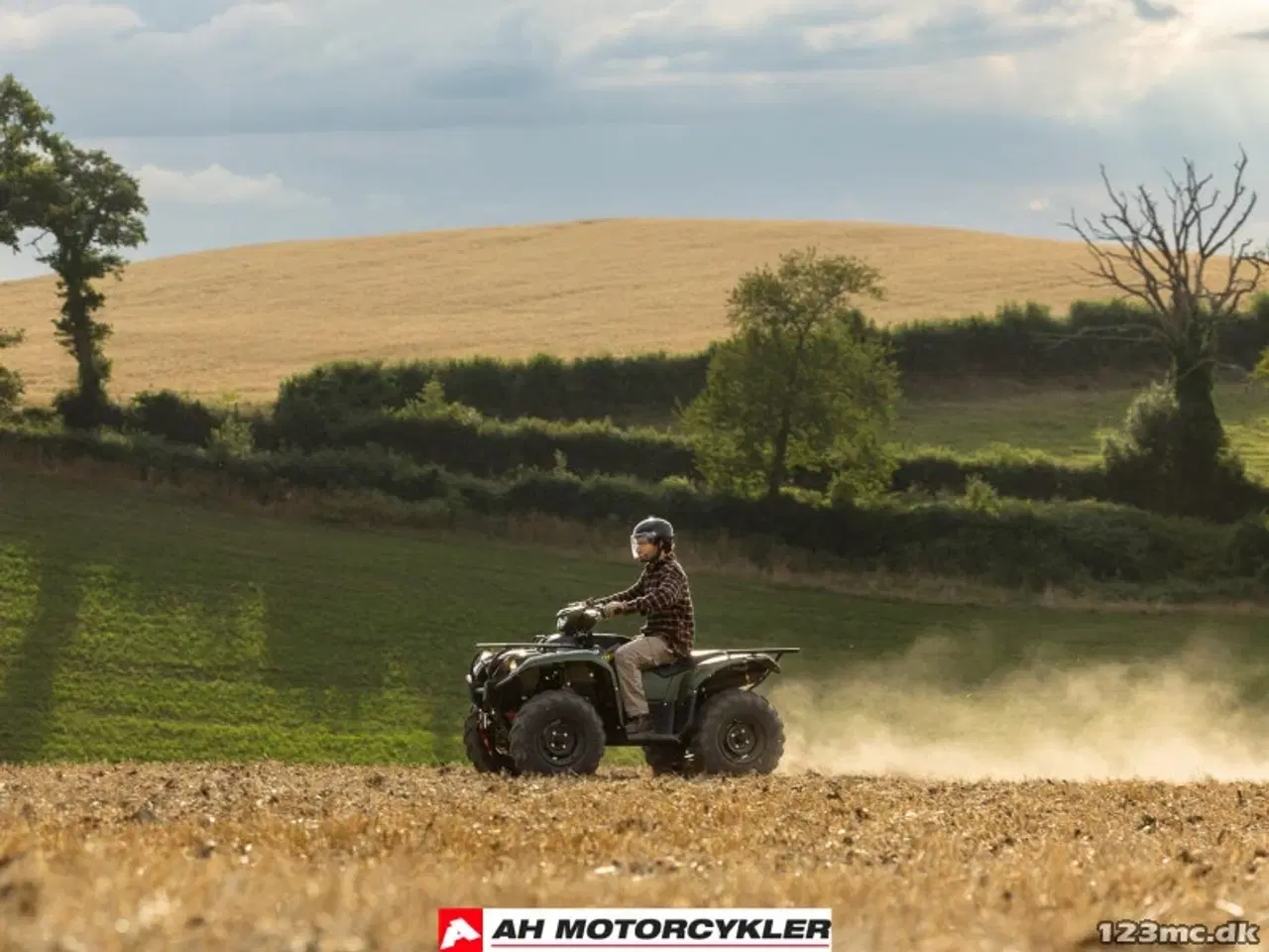 Billede 7 - Yamaha Kodiak 700 EPS STD