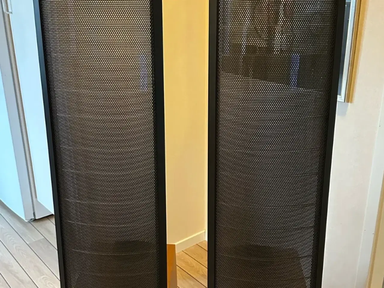 Billede 1 - Martin Logan Spire