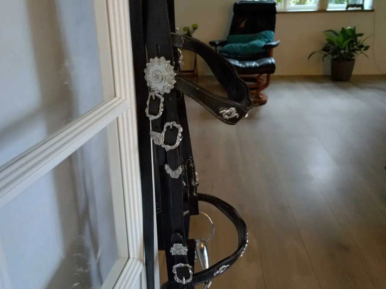 Billede 1 - Show Trense str Full