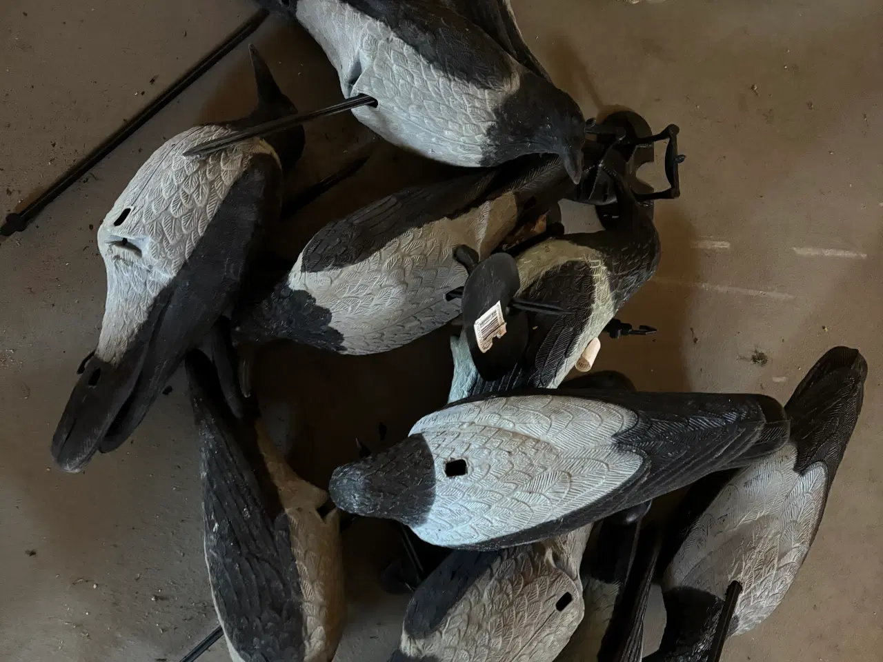 Billede 5 - Jagt skydepram og lokker. 