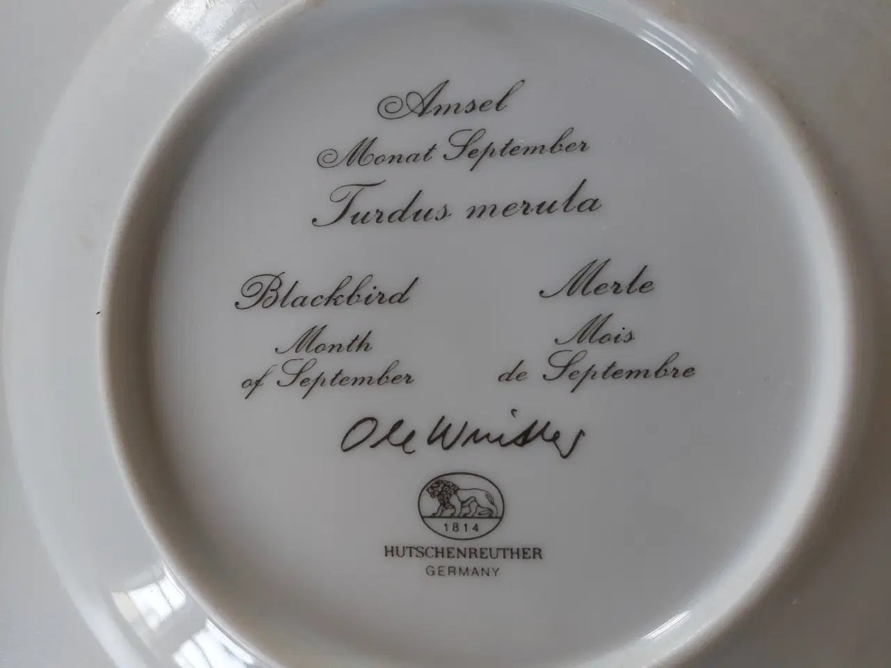 Billede 5 - Platter