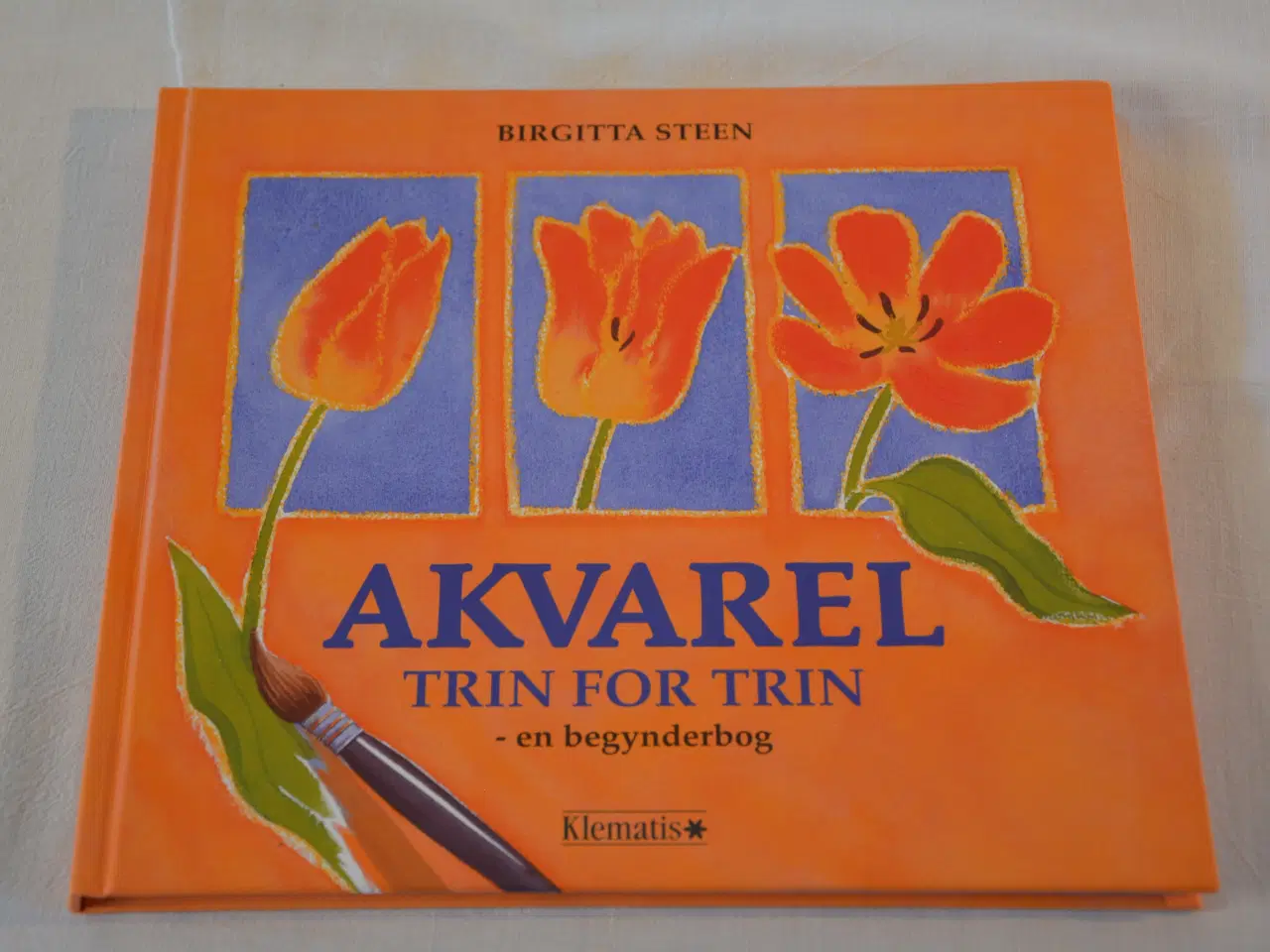 Billede 1 - AKVAREL TRIN FOR TRIN