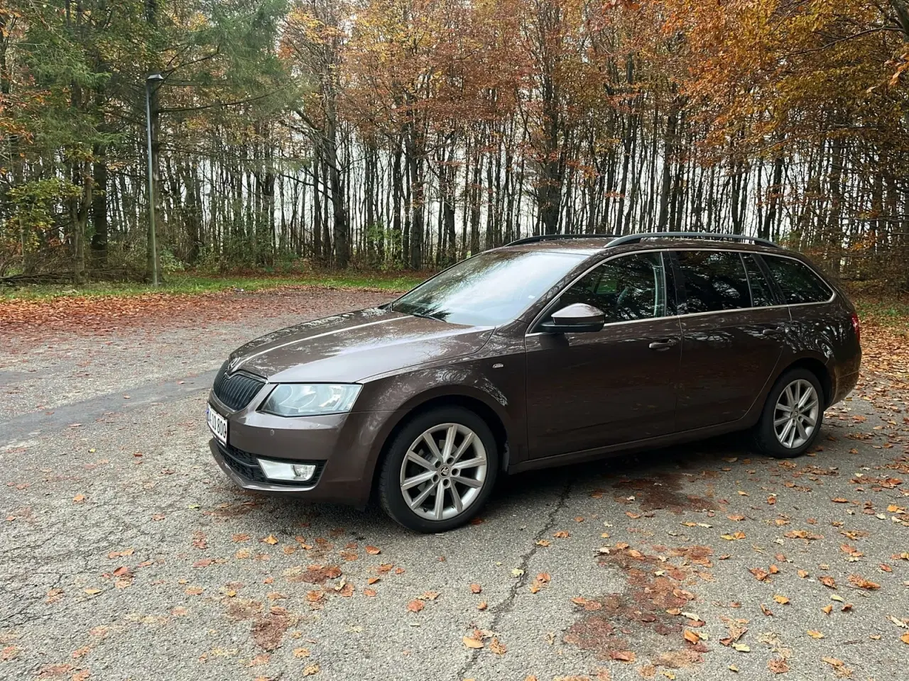 Billede 1 - Skoda Octavia 1,6 TDi 110 Style Combi DSG