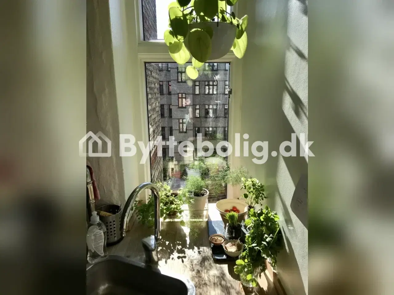 Billede 7 - Lille og hyggelig Østerbro bolig