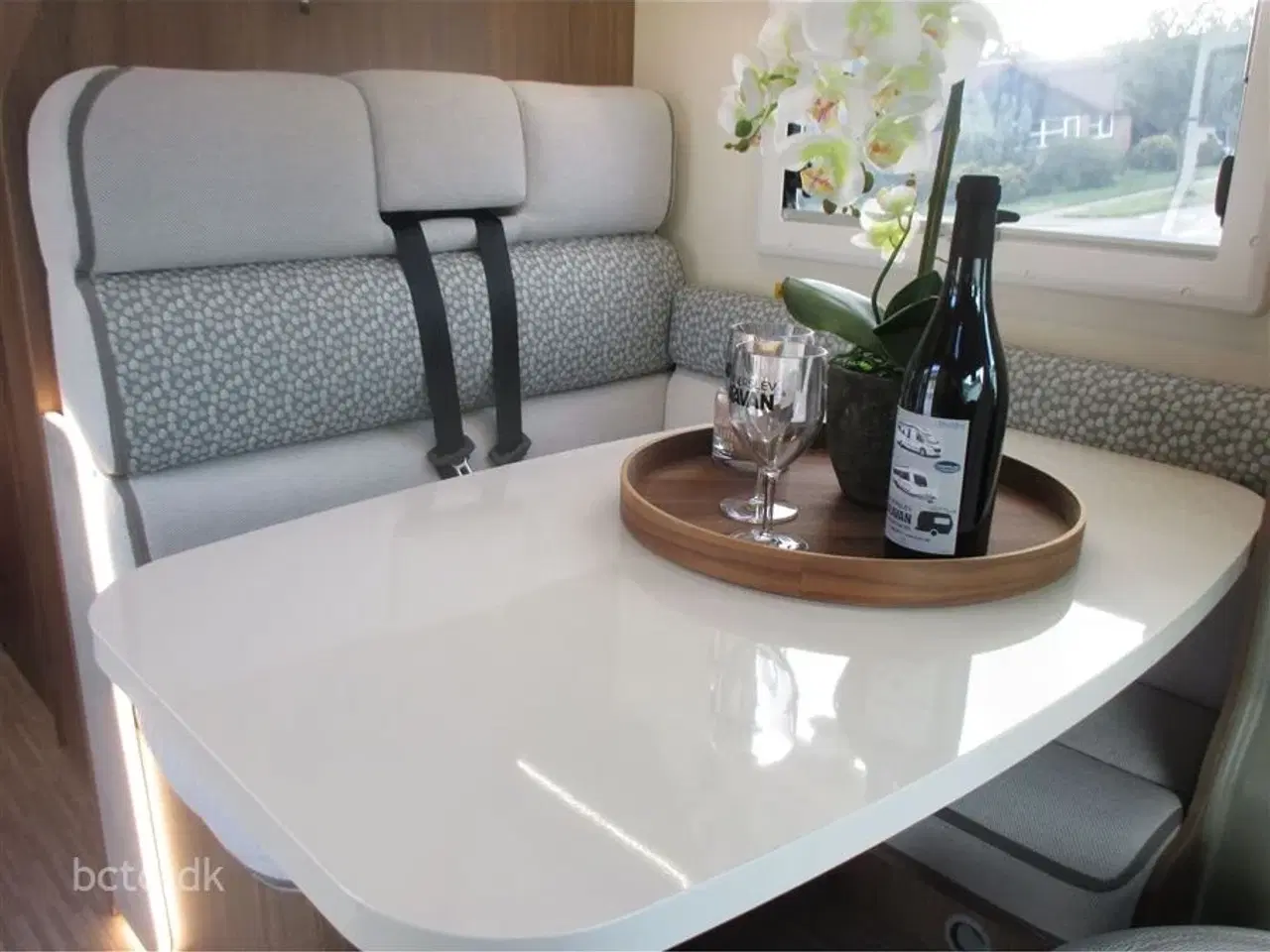 Billede 34 - 2026 - Elnagh Baron