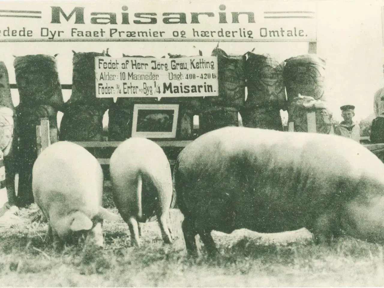 Billede 1 - Reklamekort, 1913, svinefoder