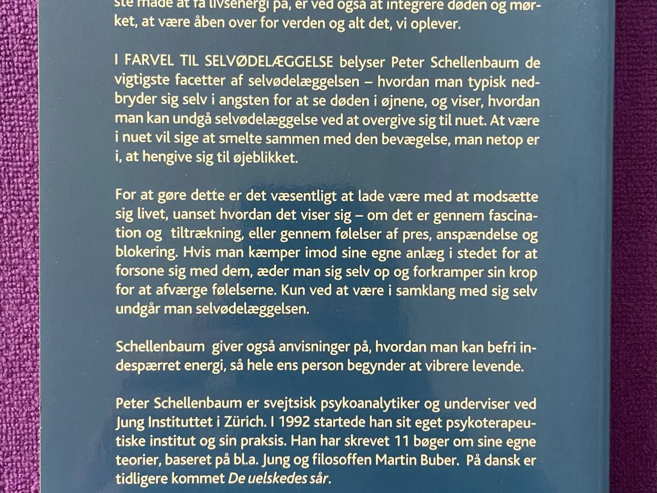 Billede 2 - Farvel til selvødelæggelse