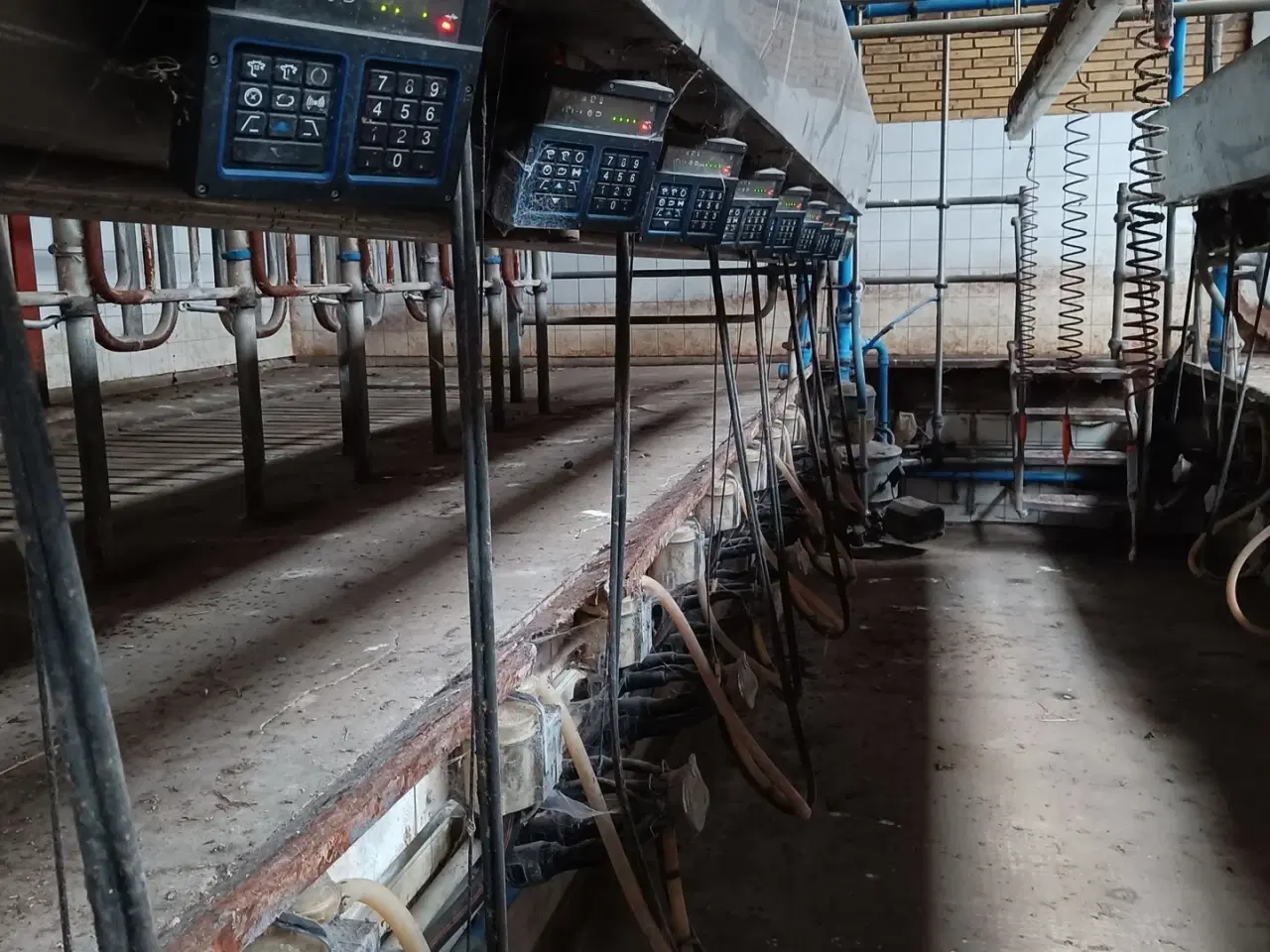 Billede 7 - - - - Malkestalden til 20 stk. med mælkemåler