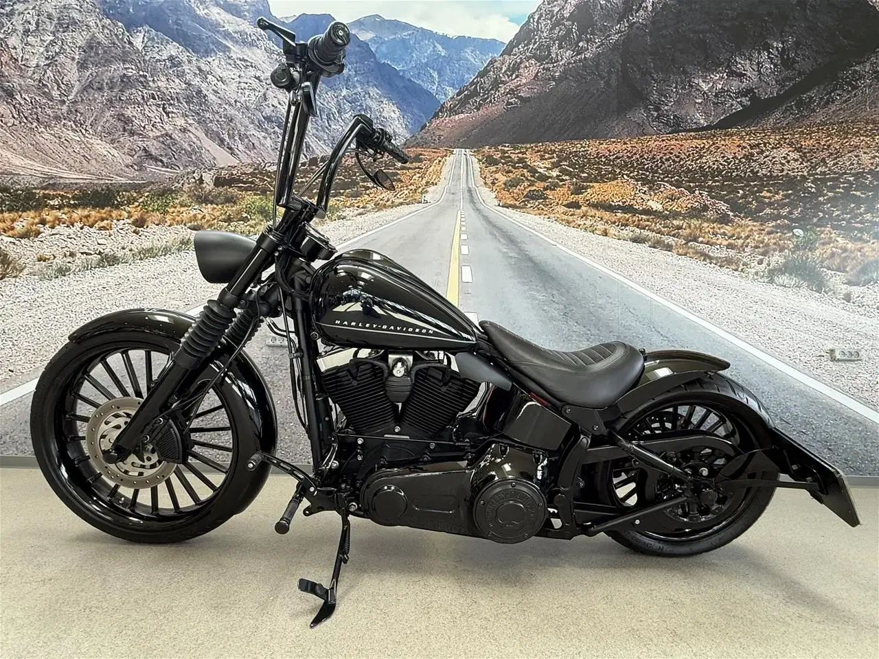 Billede 15 - Harley-Davidson FXS Blackline 110"