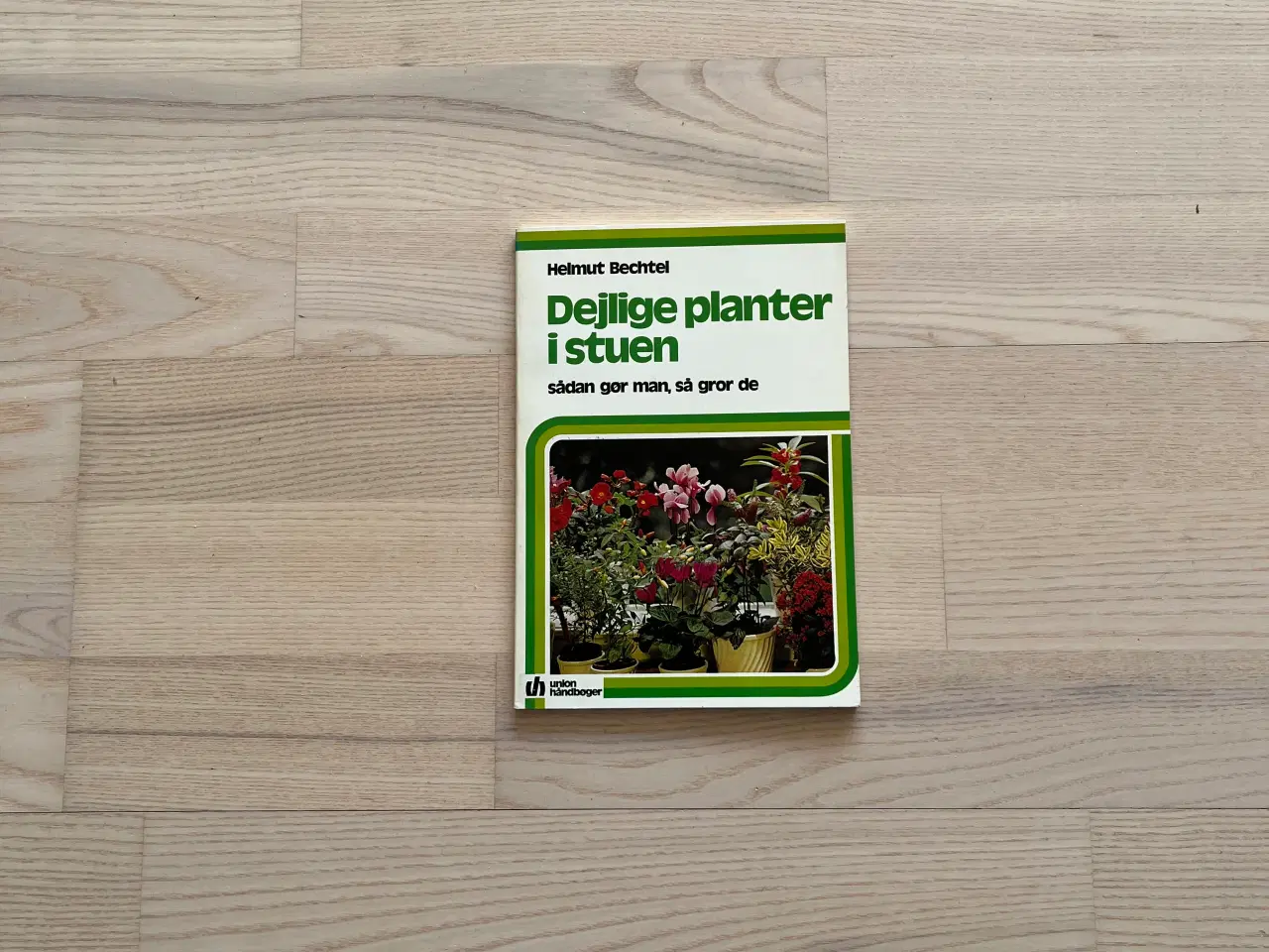 Billede 1 - Dejlige planter i stuen - af Helmut Bechtel