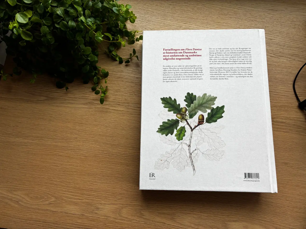 Billede 4 - Flora Danica  -  Henning Knudsen