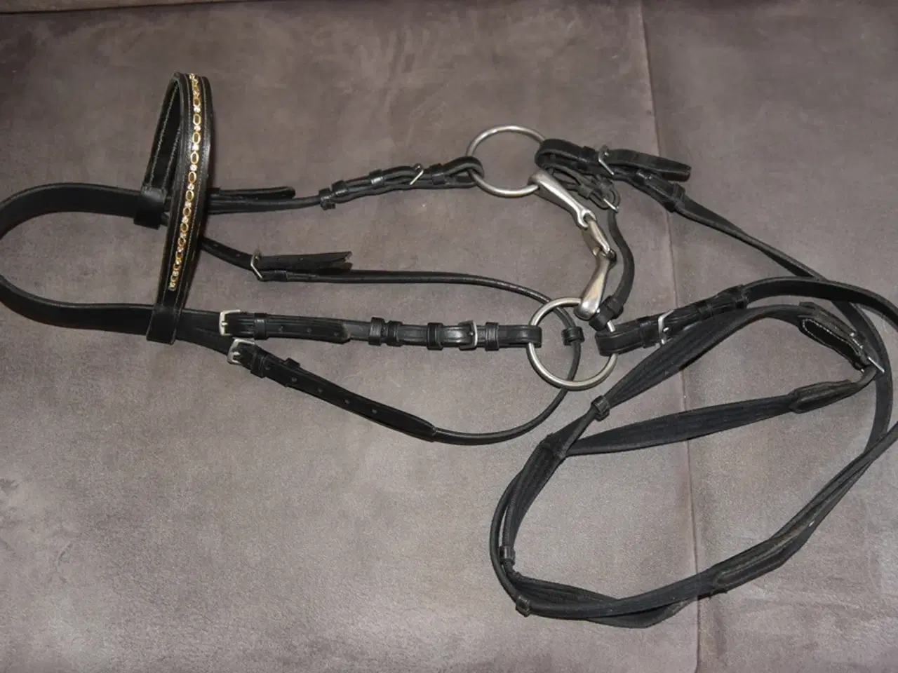 Billede 3 - Hestetøjle til pony