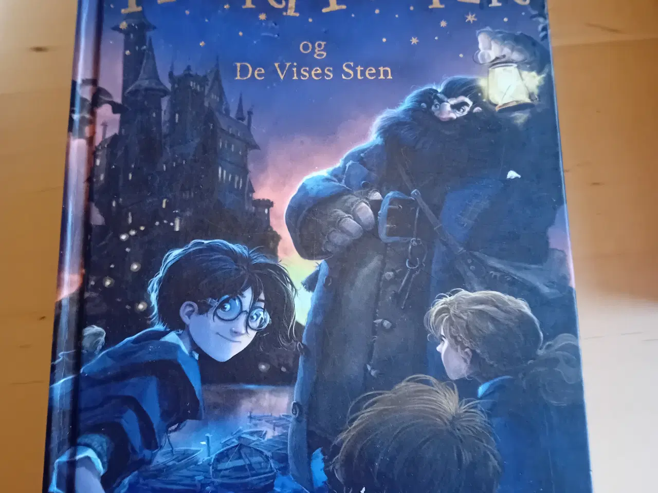 Billede 6 - Kendte Ungsomsbøger ikke brugt