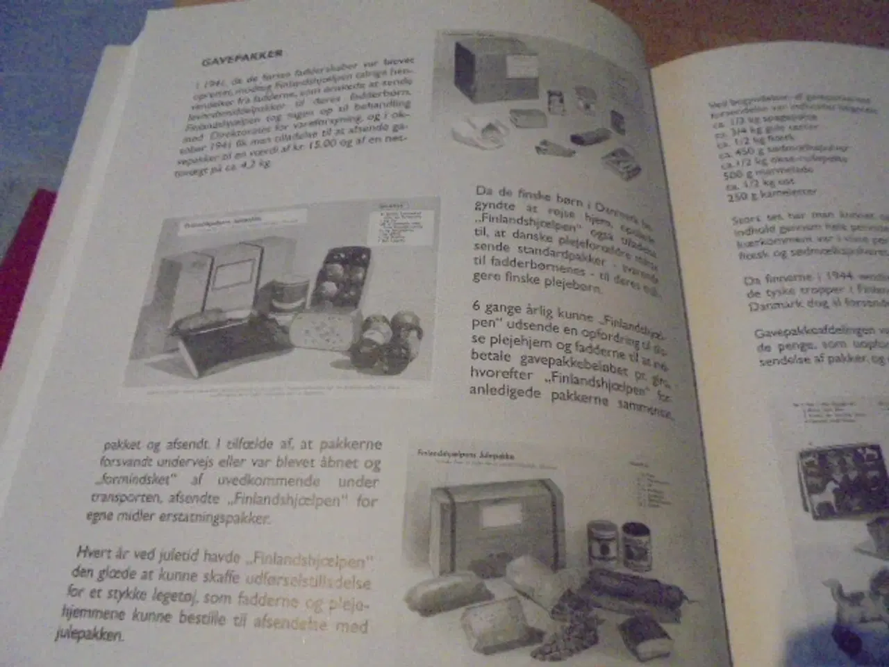 Billede 2 - Finnebørn – et stykke danmarkshistorie