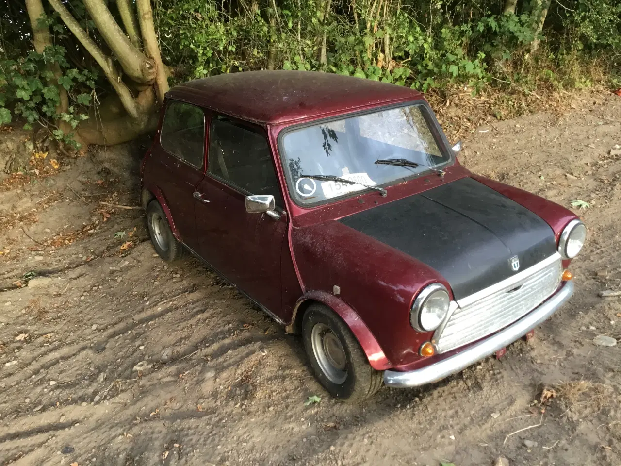 Billede 4 - Morris macot 1100 special dansk 